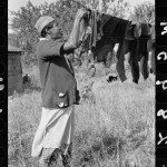Farm laborer's wife hanging washing